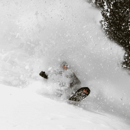 Jones Stratos Snowboard für Herren