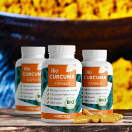 ProFuel Bio CURCUMA - 365 Kapseln