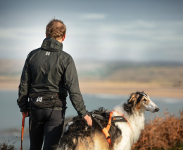 Non-stop dogwear Trail Laufgurt light belt