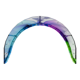 Harlem Thrive Kite Digital Print