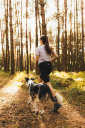 Non-stop dogwear Trail Laufgurt light belt