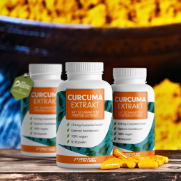 ProFuel CURCUMA Extrakt - 90 Kapseln
