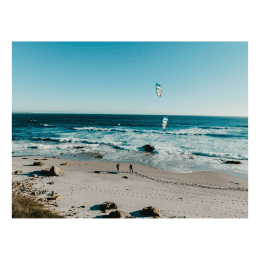 Harlem Flow Wave Kite