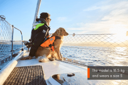 Non-stop dogwear Protector Life Jacket Hundeschwimmweste