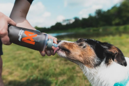 Nonstop Dogwear Softflask 500ml