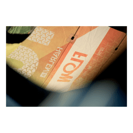 Harlem Flow Wave Kite