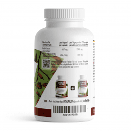 Profuel Reishi Vitalpilz 180 Kapseln