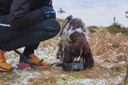 Nonstop Dogwear Trekking bowl - Fressnapf für unterwegs